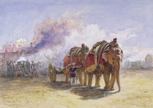 Batteria di elefanti, 1864